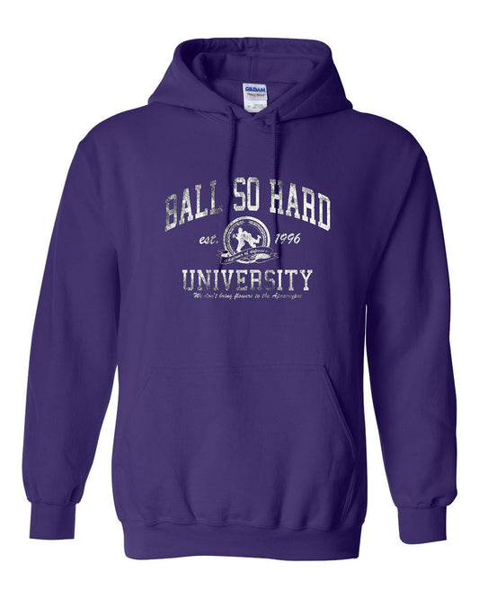 BSHU Hoodie Purple